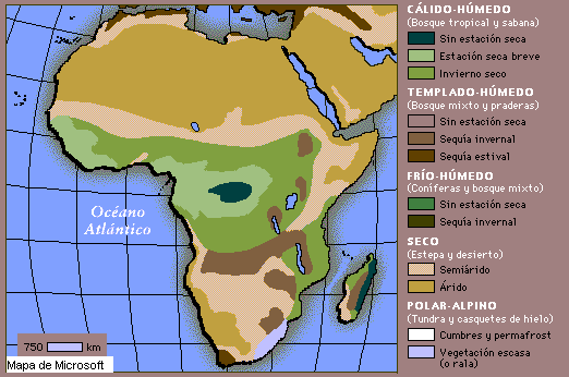 Vegetación africana en la actualidad, fuente: http://geografia.laguia2000.com/economia/africa-economia-y-poblacion